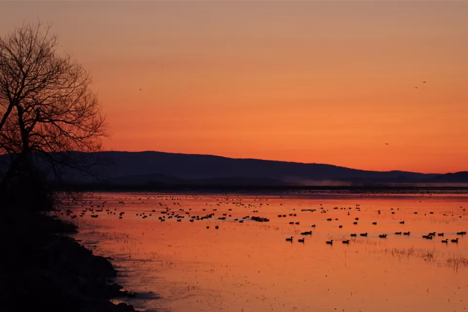 Klamath Basin National Wildlife Refuge